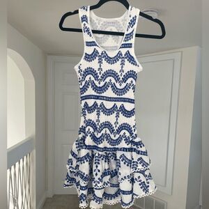 Commense Embroidered, Ruffled Sleeveless Dress, XS